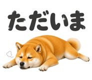 841801509