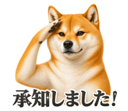 841801517