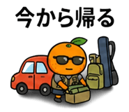 841801897