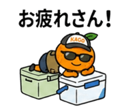 841801908