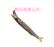 841802116