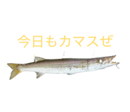 841802117