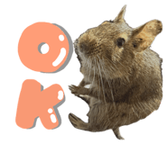 841802584