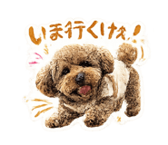 841803109