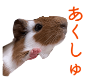 841803340