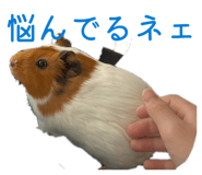 841803350