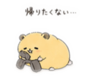 841804556