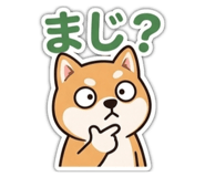 841805428