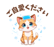 841805612