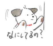841806199