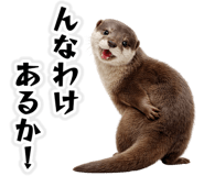 841806612