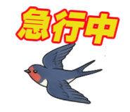 841806661