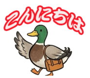 841806666