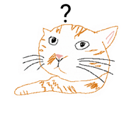 841807320