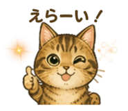 841807753