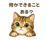 841807776