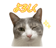 841808182