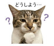 841808542