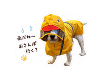 841808759