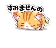 841808816