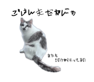 841808912