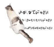 841808914