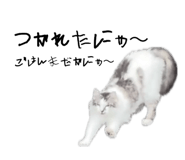 841808916