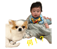 841808930