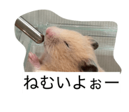 841809270