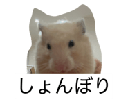 841809276