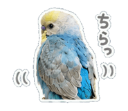 841810209