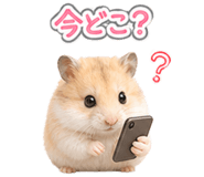 841810649