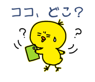 841811117