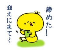 841811126