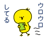 841811127