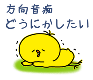 841811144