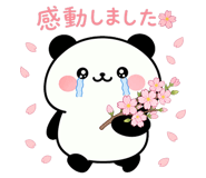 841811165