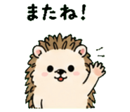841811201