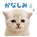 841811320