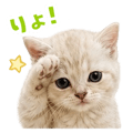 841811324