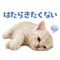 841811326