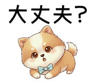 841811497