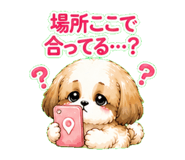 841811643