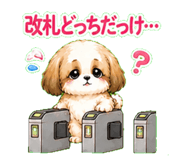 841811654