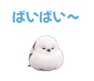 841811720