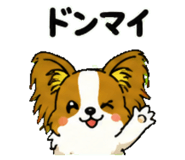 841811825