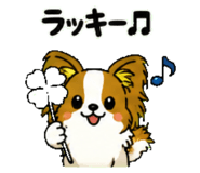 841811841