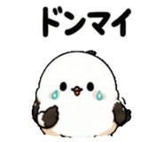 841812241