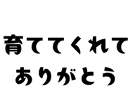841813126