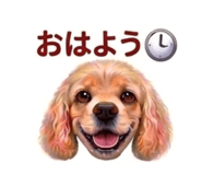 841813169